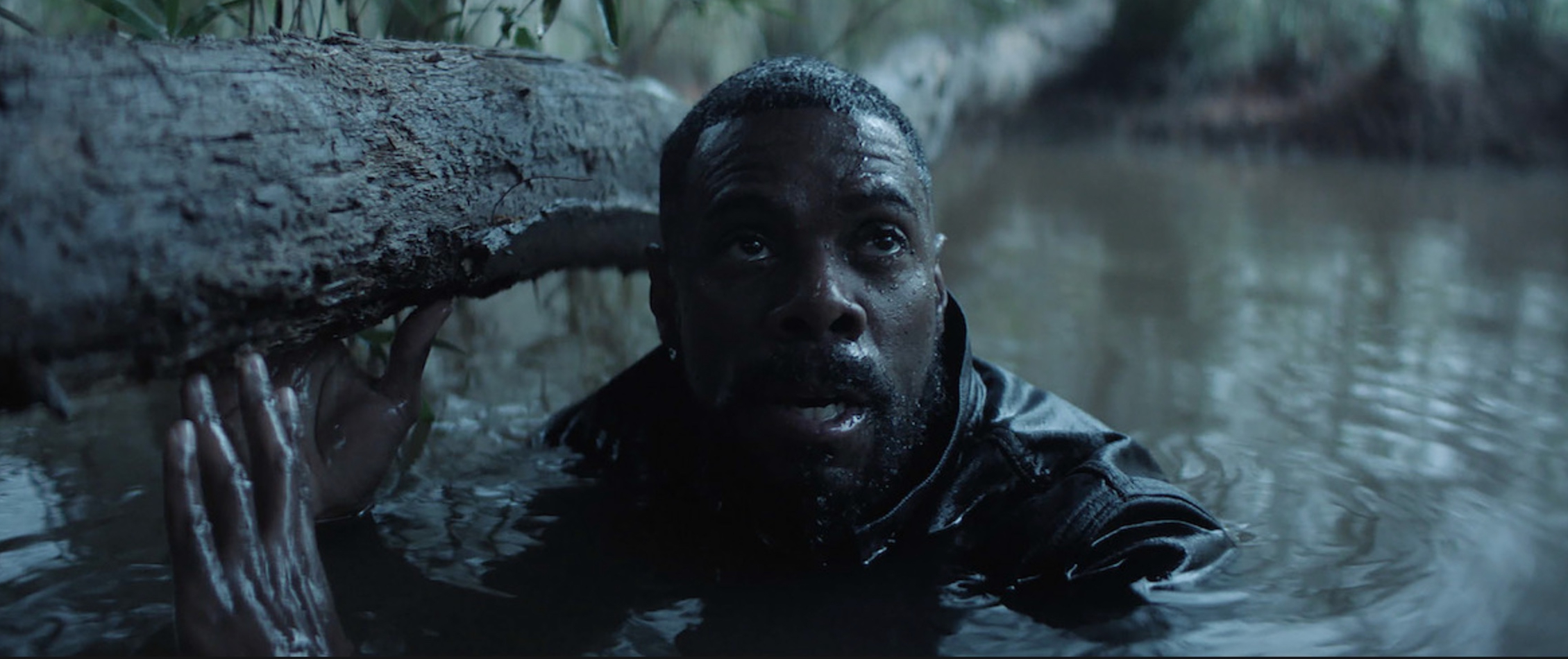 recenzja serialu "Szaleństwo" (The Madness), serial Netflix, thriller, recenzja serialu Szaleństwo